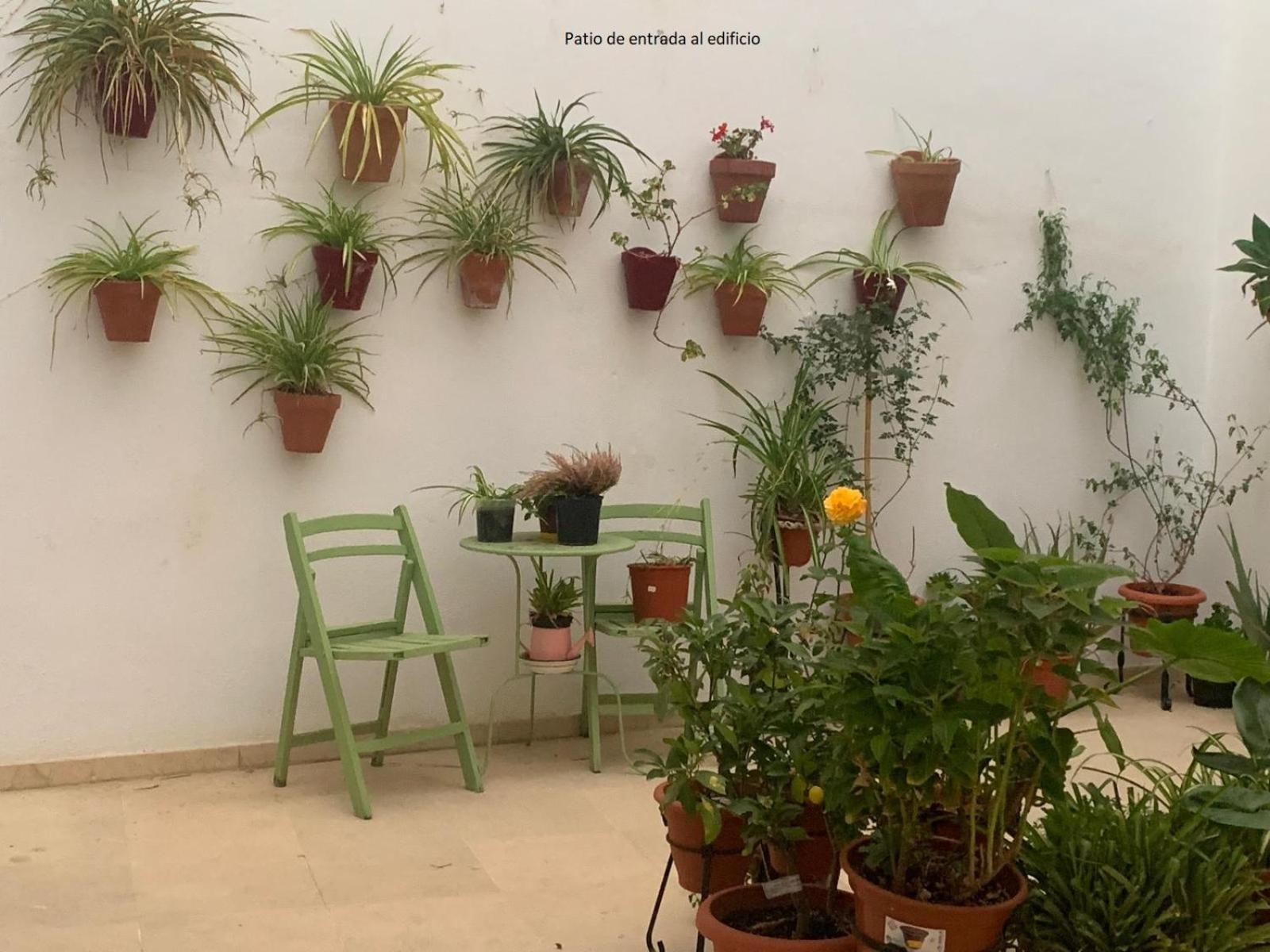 Casa Yaye Puerta Palma Daire Écija Dış mekan fotoğraf